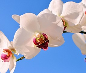 昭通正规助孕捐卵机构，附正规捐卵机构报名表！